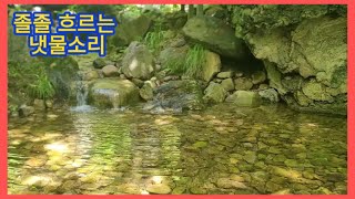 졸졸 흐르는 개울 물소리 ASMR 들으며 마음을 안정 시키세