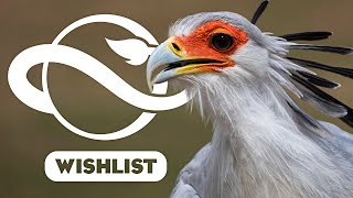 Animals STILL Missing in Planet Zoo | My Wishlist