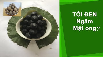 Tác dụng của tỏi đen ngâm mật ong là gì?  Ngâm tỏi đen với mật ong sau 15 ngày và kết quả là...