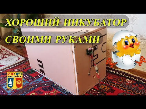 Видео: Как построить самодельный инкубатор менее чем за 20 долларов