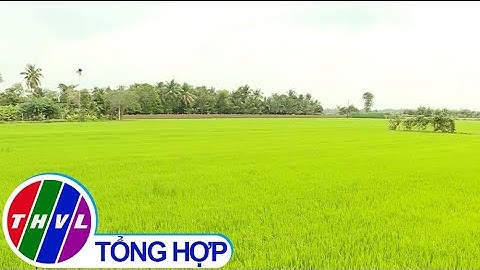 Nâng thu nhập cho người dân các xã NTM nâng cao