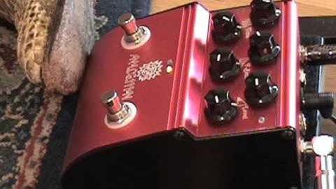 Analogman ARDX20 Dual Analog Delay guitar effects pedal demo w SG & Dr Z Amp