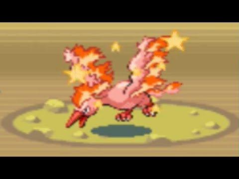 LIVE Shiny Moltres after 5,451 SRs in LeafGreen! 