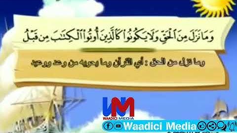 تلاوة خاشعة --- لفضيلة الشيخ العلامة يحيي بن علي الحجوري حفظه الله ورعاه