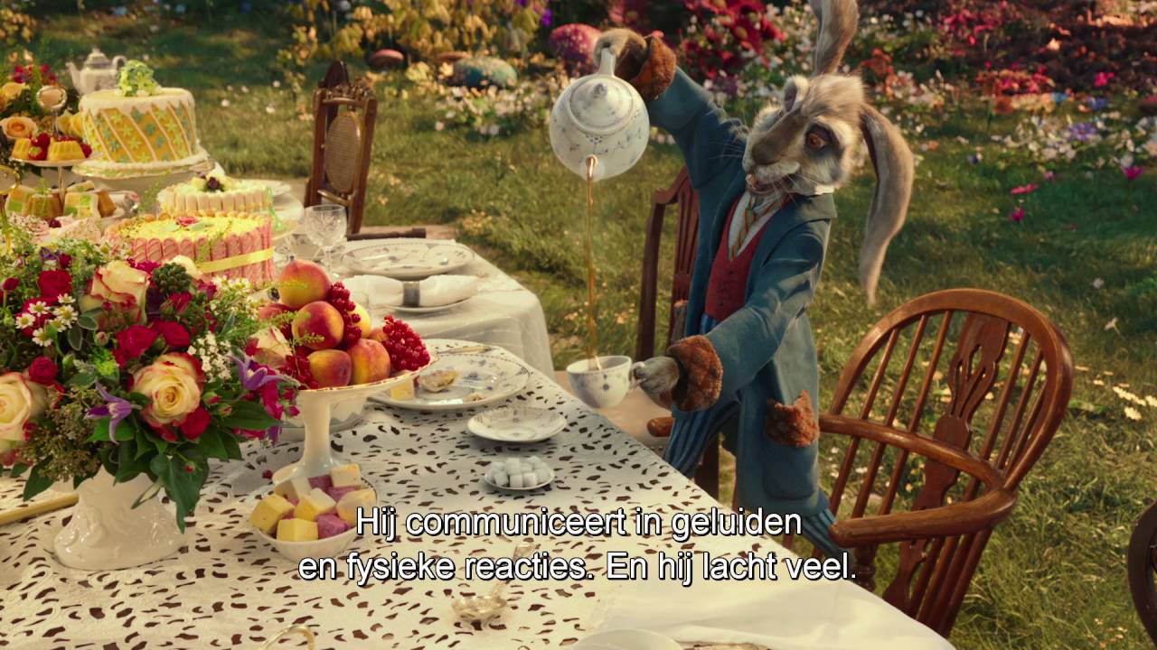 Alice In Wonderland Disney Konijnenhol