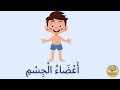       1 أعضاء الجسم لتعليم الأطفال ج2