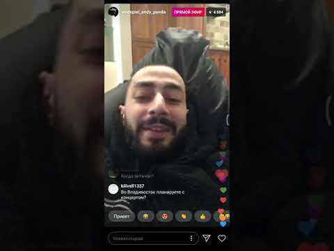 Andy Panda шутит с подписчиками в прямом эфире.🔰
