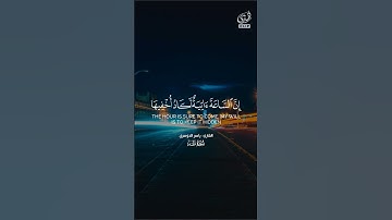 وأنا اخترتك فاستمع لما يوحى - ياسر الدوسري #تلاوه #تلاوات #المصحف #القرآن_الكريم #القرآن #آيات