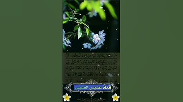 تلاوة- بصوت ماجد رسلاني #ارح سمعك