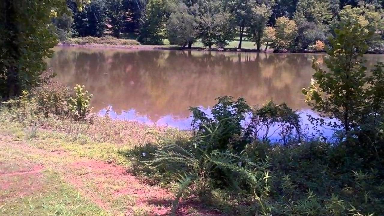 Real estate for sale in Bath Springs Tennessee MLS 168138 YouTube