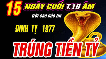 Trời định Tuổi ĐINH TỴ 1977 đúng 15 ngày cuối Tháng 10 âm 2025 THẦN TÀI BÁO MỘNG TRÚNG SỐ CỰC GIÀU