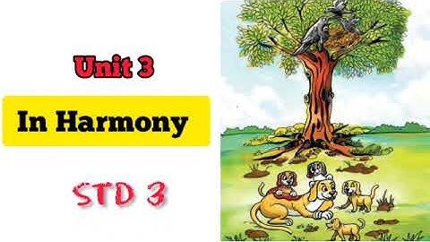 IN HARMONY/ Unit 3/ Class 3 English/ ENGLISH MASTER