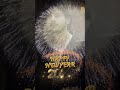 happy new year 2026 #happynewyear #happynewyear2026 #shortvideo