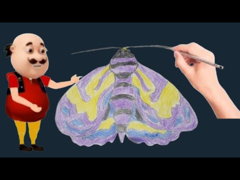 Motu Patlu Cartoon||How To Draw Butterfly Easy Step By Step - YouTube