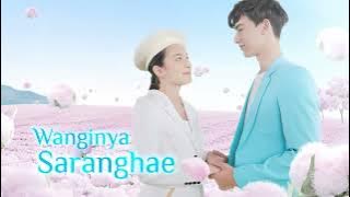 SoKlin Pewangi Cotton Fantasy Wanginya Saranghae, Bikin Impianmu jadi Lebih Dekat!