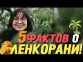 Пять фактов о Ленкорани и талышах! | Путешествие Наташи из Баку в Астару | Азербайджан 2019