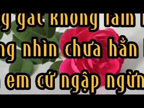 Video Ngắm Hoa Hồng Nghe Nhạc Đọc Thơ Thư Giãn???????? - youtube