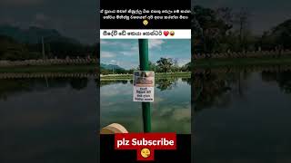 Plz Subscribe කරන්න 🙏❤️Sinhala Funny Meme #𒆜foryou  #funny