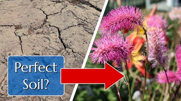 No-Till Results in Our Not-So-Perfect Soil