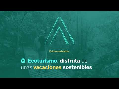 Video: Los 4 Mejores Eco-lodges Para Unas Vacaciones Más Sostenibles