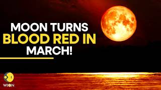 Blood Moon Alert Sky Watchers Get Ready To Witness The First Total Lunar Eclipse Of 2026 Originals