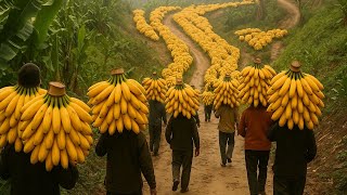 Nông Dân Trung Quốc Thu Hoạch Hàng Triệu Tấn Trái Cây Theo Cách Này