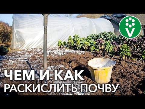 Видео: Гашеная известь кислая или основная?