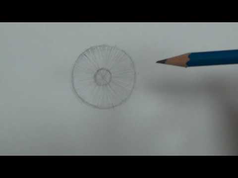 فيديو: كيفية رسم قزحية