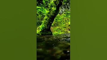 #بلغوا_عني_ولو_آية #اسلامية #آيات #تيك_توك #قران_كريم #آية #tiktok #explore
