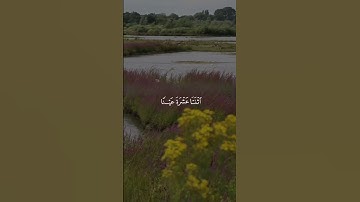 🤍يشرح الصدر🤍القرآن الكريم قصير🤍القارئ: مشاري العفاسي 🤍
