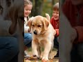 #kids #babyandpuppy #cutebaby #babygirl Babyboy #funny