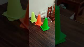 Famous Color Recognition Activity Net Worth