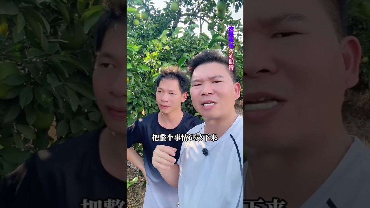 一万八帮弟弟承包果园，大家觉得可不可行？同时也帮弟弟起了一个账号，@弟弟包果园 希望他能记录运营好！#单亲爸爸#离异家庭的孩子 #家庭情感 #手足之情 #成年人的崩溃