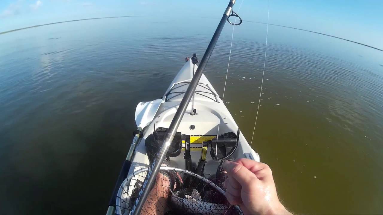 Mosquito Lagoon Reds Southern Yankee Kayak Fishing YouTube