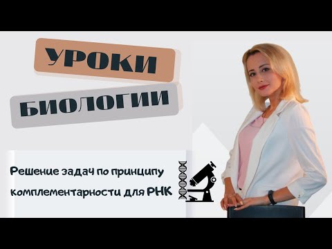 Решение задач (принцип комплементарности для РНК)