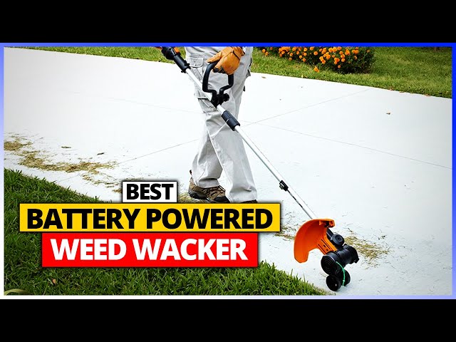 Best Weed Eater Reviews 2023 - Gas, Battery, and Electric - PTR