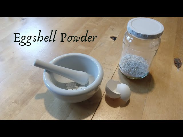 Powered Eggshell, Cascarilla