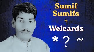 Sumifs in excel with Wildcards uses|* ? ~|Wildcards|Urdu And Hindi|