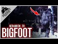 Gedanken und ergnzungen zu bigfoot und dem pattersongimlinfilm