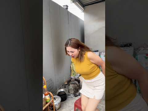 วีดีโอ: เด็กไม่ได้รับอนุญาต แต่สุนัขยินดีต้อนรับในร้านอาหารออสเตรเลีย