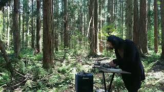 Ambient Machine Live 6