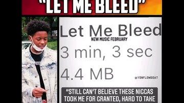 YSN Flow - Let Me Bleed snippet