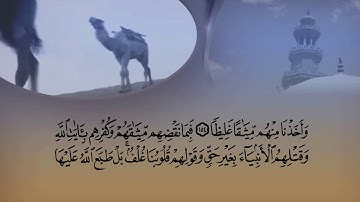 تلاوة من سورة النساء من الأية ١٨٤ الي نهاية السورة بصوت القارئ الشيخ ماهر المعيقلي