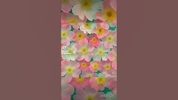 يا أيها الناس إن وعد الله حق فلا تغرنكم الحياة الدنيا &سورة فاطر