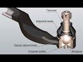ЗАМЕНА РУЛЕВЫХ НАКОНЕЧНИКОВ как сэкономить на ремонте