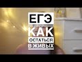 УЖАСЫ ЕГЭ // ЧАСТЬ 2