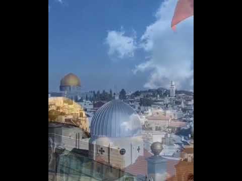 قصيدة ولي وطن