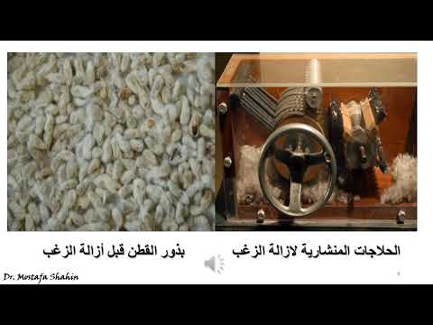 فيديو: كيف يتم إنتاج الجوسيبول؟