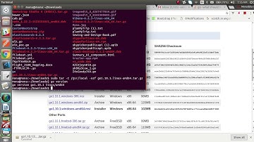 GO installation and setup in Ubuntu 14.04