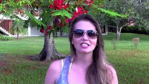 Como reconhecer um flamboyant?